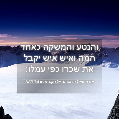Picture 05 - אגרת שאול הראשונה אל הקורינתים 3:8 HEB - והנטע והמשקה כאחד המה ואיש - Bible Verse Picture
