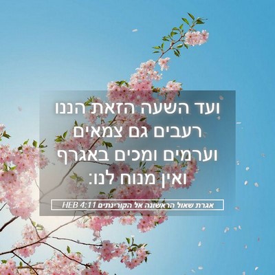 Picture 05 - אגרת שאול הראשונה אל הקורינתים 4:11 HEB - ועד השעה הזאת הננו רעבים גם - Bible Verse Picture