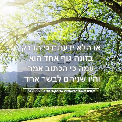 Picture 05 - אגרת שאול הראשונה אל הקורינתים 6:16 HEB - או הלא ידעתם כי הדבק בזונה - Bible Verse Picture
