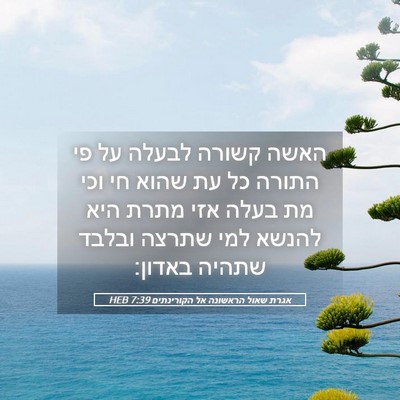 Picture 05 - אגרת שאול הראשונה אל הקורינתים 7:39 HEB - האשה קשורה לבעלה על פי - Bible Verse Picture