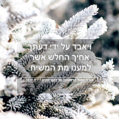 Picture 05 - אגרת שאול הראשונה אל הקורינתים 8:11 HEB - ויאבד על ידי דעתך אחיך החלש - Bible Verse Picture