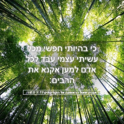 Picture 05 - אגרת שאול הראשונה אל הקורינתים 9:19 HEB - כי בהיותי חפשי מכל עשיתי - Bible Verse Picture