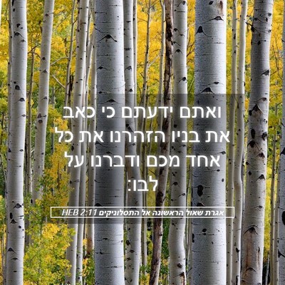 Picture 05 - אגרת שאול הראשונה אל התסלוניקים 2:11 HEB - ואתם ידעתם כי כאב את בניו - Bible Verse Picture