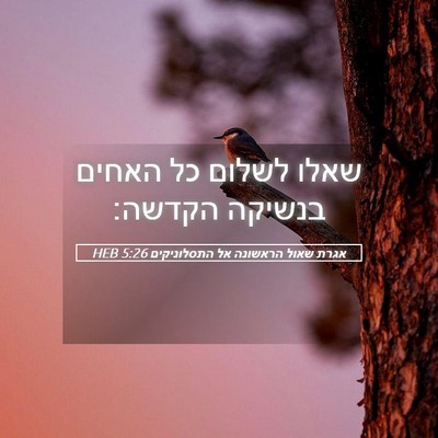 Picture 05 - אגרת שאול הראשונה אל התסלוניקים 5:26 HEB - שאלו לשלום כל האחים בנשיקה - Bible Verse Picture