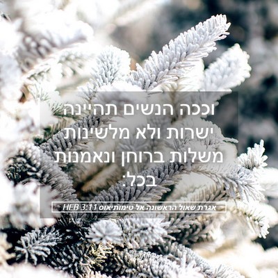 Picture 05 - אגרת שאול הראשונה אל טימותיאוס 3:11 HEB - וככה הנשים תהיינה ישרות - Bible Verse Picture
