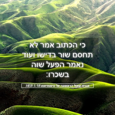 Picture 05 - אגרת שאול הראשונה אל טימותיאוס 5:18 HEB - כי הכתוב אמר לא תחסם שור - Bible Verse Picture