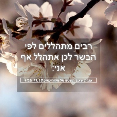 Picture 05 - אגרת שאול השניה אל הקורינתים 11:18 HEB - רבים מתהללים לפי הבשר לכן - Bible Verse Picture