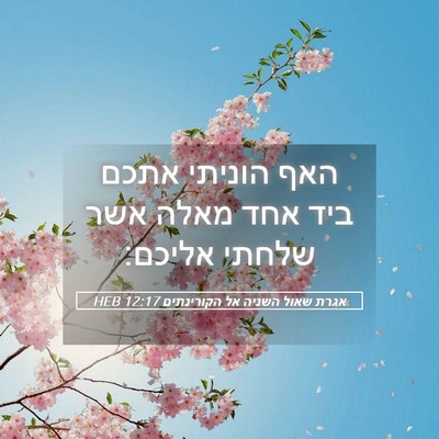 Picture 05 - אגרת שאול השניה אל הקורינתים 12:17 HEB - האף הוניתי אתכם ביד אחד - Bible Verse Picture