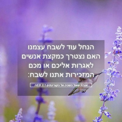 Picture 05 - אגרת שאול השניה אל הקורינתים 3:1 HEB - הנחל עוד לשבח עצמנו האם - Bible Verse Picture