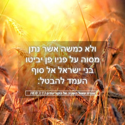 Picture 05 - אגרת שאול השניה אל הקורינתים 3:13 HEB - ולא כמשה אשר נתן מסוה על - Bible Verse Picture