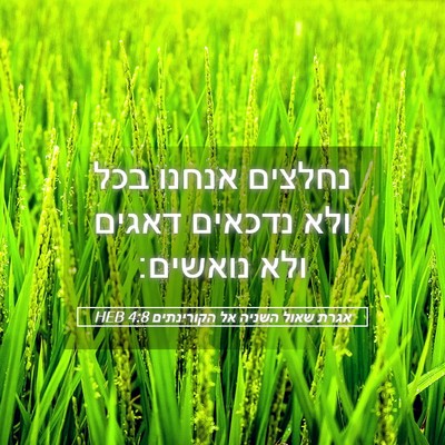 Picture 05 - אגרת שאול השניה אל הקורינתים 4:8 HEB - נחלצים אנחנו בכל ולא - Bible Verse Picture