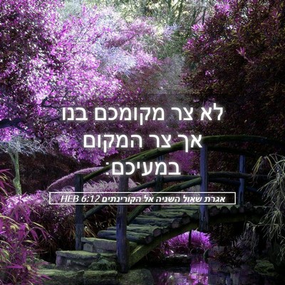 Picture 05 - אגרת שאול השניה אל הקורינתים 6:12 HEB - לא צר מקומכם בנו אך צר - Bible Verse Picture
