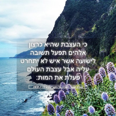 Picture 05 - אגרת שאול השניה אל הקורינתים 7:10 HEB - כי העצבת שהיא כרצון אלהים - Bible Verse Picture