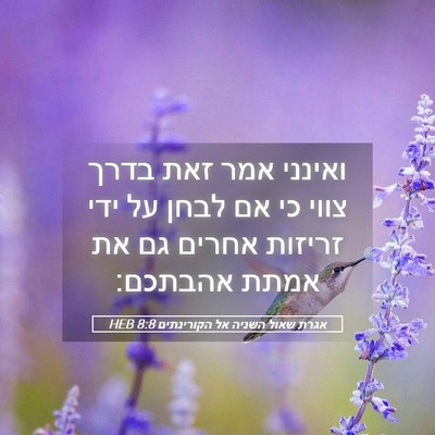 Picture 05 - אגרת שאול השניה אל הקורינתים 8:8 HEB - ואינני אמר זאת בדרך צווי כי - Bible Verse Picture