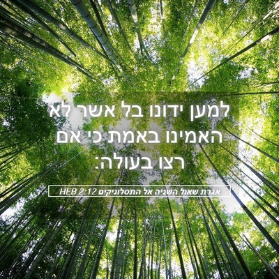 Picture 05 - אגרת שאול השניה אל התסלוניקים 2:12 HEB - למען ידונו בל אשר לא האמינו - Bible Verse Picture