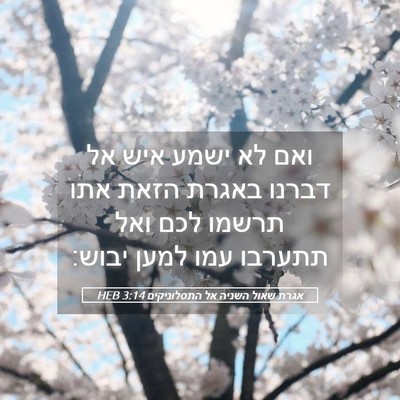 Picture 05 - אגרת שאול השניה אל התסלוניקים 3:14 HEB - ואם לא ישמע איש אל דברנו - Bible Verse Picture