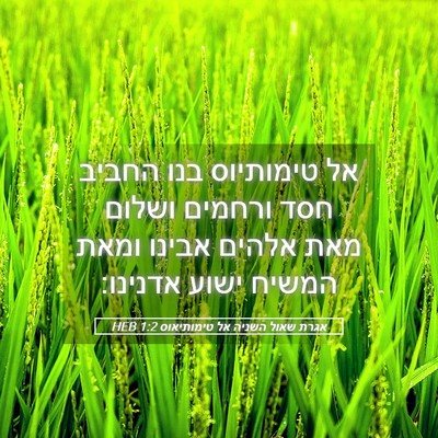 Picture 05 - אגרת שאול השניה אל טימותיאוס 1:2 HEB - אל טימותיוס בנו החביב חסד - Bible Verse Picture