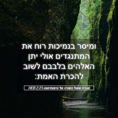 Picture 05 - אגרת שאול השניה אל טימותיאוס 2:25 HEB - ומיסר בנמיכות רוח את - Bible Verse Picture