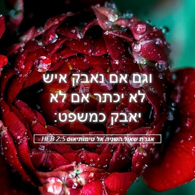 Picture 05 - אגרת שאול השניה אל טימותיאוס 2:5 HEB - וגם אם נאבק איש לא יכתר אם - Bible Verse Picture