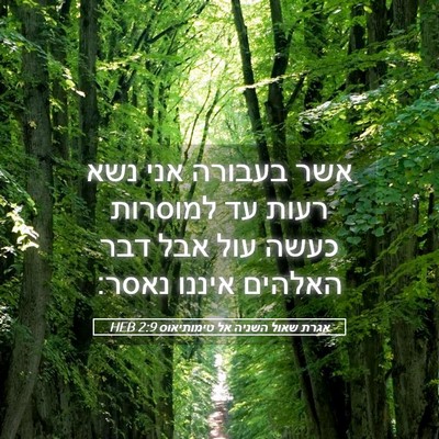 Picture 05 - אגרת שאול השניה אל טימותיאוס 2:9 HEB - אשר בעבורה אני נשא רעות עד - Bible Verse Picture