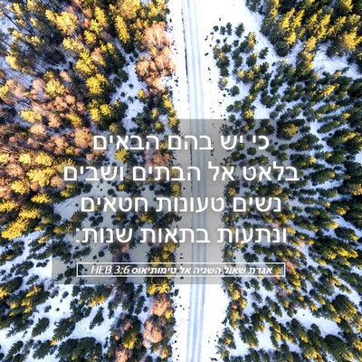 Picture 05 - אגרת שאול השניה אל טימותיאוס 3:6 HEB - כי יש בהם הבאים בלאט אל - Bible Verse Picture