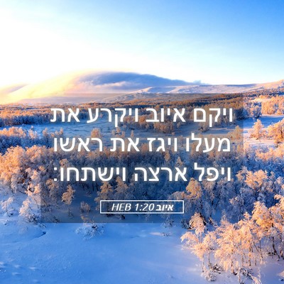 Picture 05 - איוב 1:20 HEB - ויקם איוב ויקרע את מעלו - Bible Verse Picture