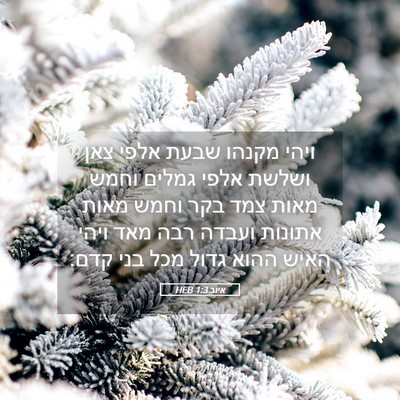 Picture 05 - איוב 1:3 HEB - ויהי מקנהו שבעת אלפי צאן - Bible Verse Picture