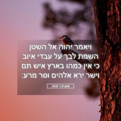 Picture 05 - איוב 1:8 HEB - ויאמר יהוה אל השטן השמת לבך - Bible Verse Picture