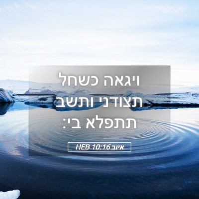 Picture 05 - איוב 10:16 HEB - ויגאה כשחל תצודני ותשב - Bible Verse Picture