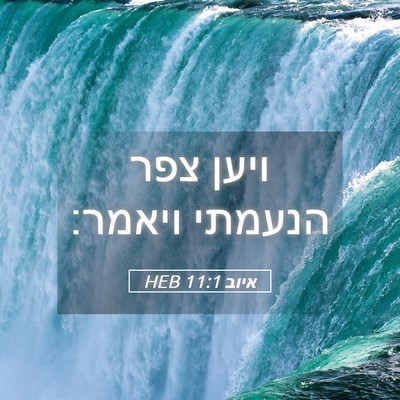 Picture 05 - איוב 11:1 HEB - ויען צפר הנעמתי - Bible Verse Picture