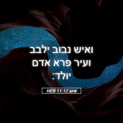 Picture 05 - איוב 11:12 HEB - ואיש נבוב ילבב ועיר פרא אדם - Bible Verse Picture