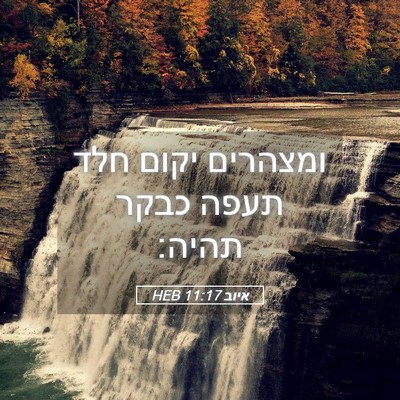 Picture 05 - איוב 11:17 HEB - ומצהרים יקום חלד תעפה כבקר - Bible Verse Picture