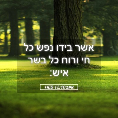 Picture 05 - איוב 12:10 HEB - אשר בידו נפש כל חי ורוח כל - Bible Verse Picture