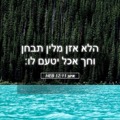 Picture 05 - איוב 12:11 HEB - הלא אזן מלין תבחן וחך אכל - Bible Verse Picture
