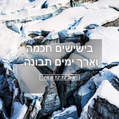 Picture 05 - איוב 12:12 HEB - בישישים חכמה וארך ימים - Bible Verse Picture