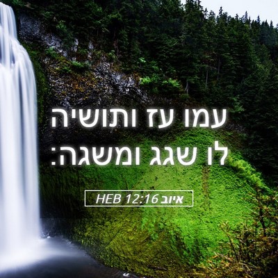 Picture 05 - איוב 12:16 HEB - עמו עז ותושיה לו שגג - Bible Verse Picture