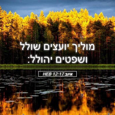 Picture 05 - איוב 12:17 HEB - מוליך יועצים שולל ושפטים - Bible Verse Picture