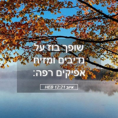 Picture 05 - איוב 12:21 HEB - שופך בוז על נדיבים ומזיח - Bible Verse Picture
