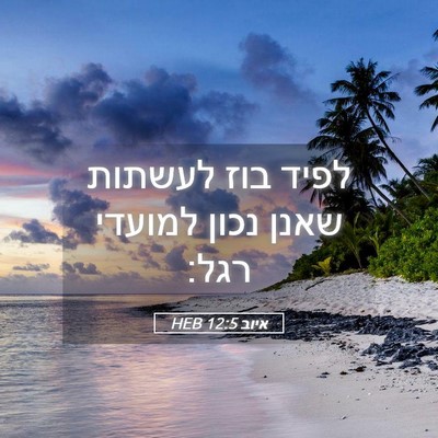 Picture 05 - איוב 12:5 HEB - לפיד בוז לעשתות שאנן נכון - Bible Verse Picture