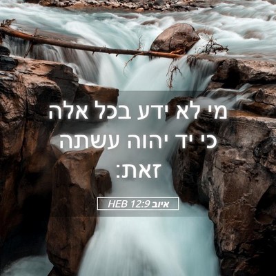 Picture 05 - איוב 12:9 HEB - מי לא ידע בכל אלה כי יד יהוה - Bible Verse Picture