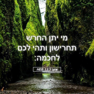 Picture 05 - איוב 13:5 HEB - מי יתן החרש תחרישון ותהי - Bible Verse Picture