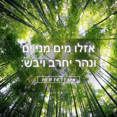Picture 05 - איוב 14:11 HEB - אזלו מים מני ים ונהר יחרב - Bible Verse Picture