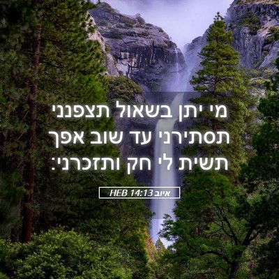 Picture 05 - איוב 14:13 HEB - מי יתן בשאול תצפנני - Bible Verse Picture