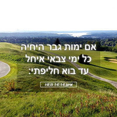 Picture 05 - איוב 14:14 HEB - אם ימות גבר היחיה כל ימי - Bible Verse Picture