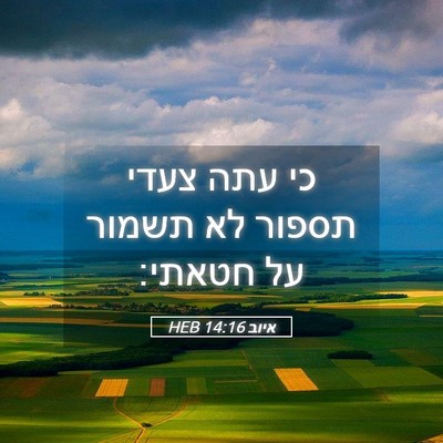 Picture 05 - איוב 14:16 HEB - כי עתה צעדי תספור לא תשמור - Bible Verse Picture