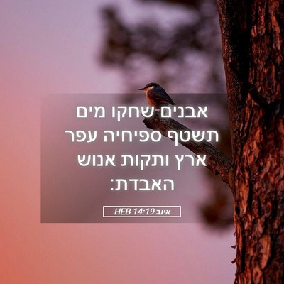 Picture 05 - איוב 14:19 HEB - אבנים שחקו מים תשטף ספיחיה - Bible Verse Picture