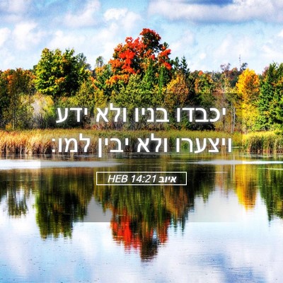 Picture 05 - איוב 14:21 HEB - יכבדו בניו ולא ידע ויצערו - Bible Verse Picture