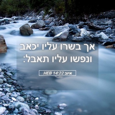 Picture 05 - איוב 14:22 HEB - אך בשרו עליו יכאב ונפשו - Bible Verse Picture