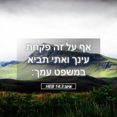 Picture 05 - איוב 14:3 HEB - אף על זה פקחת עינך ואתי - Bible Verse Picture