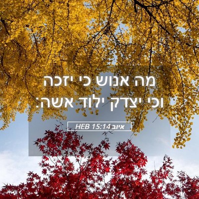 Picture 05 - איוב 15:14 HEB - מה אנוש כי יזכה וכי יצדק - Bible Verse Picture